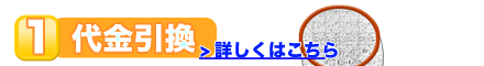 代金引換(着払い)