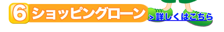 ショッピングローン(分割払い)